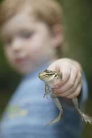 boy holding a dead frog