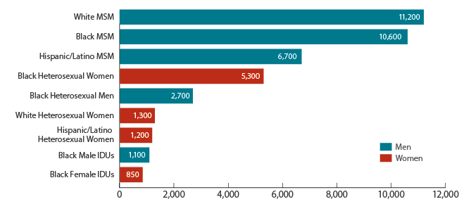 Chart showing the populations most affected by HIV in 2010. In that year, there were 11,200 new HIV infections among white men who have sex with men (called MSM); 10,600 new HIV infections among black MSM; 6,700 new infections among Hispanic/Latino MSM; 5,300 new infections among black heterosexual women; 2,700 new infections among black heterosexual men; 1,300 new infections among white heterosexual women; 1,200 among Hispanic/Latino heterosexual women; 1,100 among black male injection drug users; and 850 among black female injection drug users.