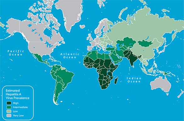 Figure 5: Estimated prevalence of hepatitis A virus, 2005