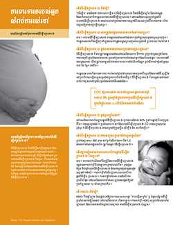 Snapshot of 'Hepatitis B: Are you at Risk' 2-page fact sheet