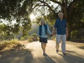 image of a couple walking in woods holding hands