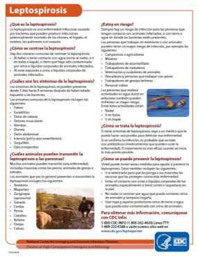 Hoja de datos de Leptospirosis