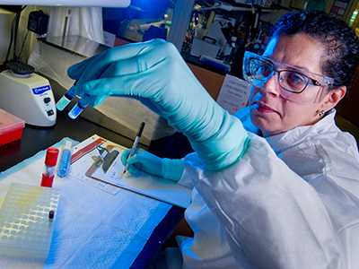 LLS fellow documents data during laboratory testing.