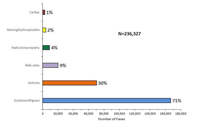 From 2001-2015 of the 236,327 reported cases of Lyme disease, 71% of patients had an erythema migrans rash; 30% reported arthritis symptoms; 9% reported Bell's palsy (facial droop); 4% reported radiculoneuropathy; 2% reported mengitis or encephalitis; and 1% reported cardiac symptoms. Totals exceed 100% as some patients reported more than one symptom.