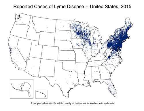 Map of the United States showing reported cases of lyme disease.  The cases are concentrated in the north east quarter of the country