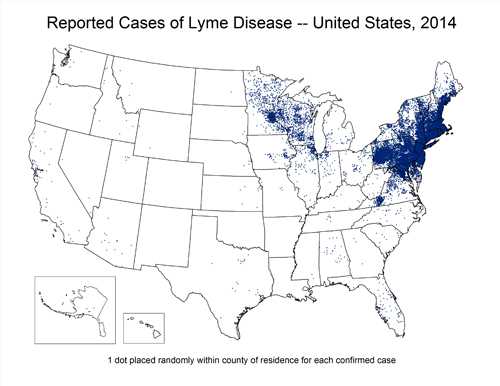 Map of the U.S. showing reported cases of Lyme Disease for the year 2014. 