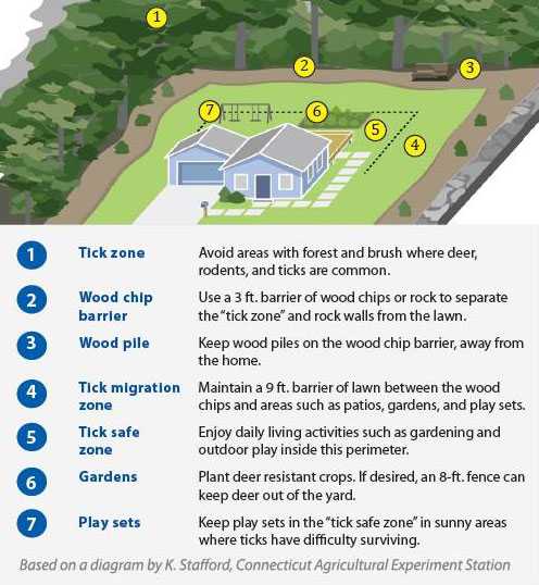 Tick Safe Landscaping diagram