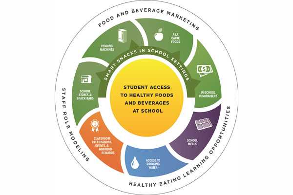 infographic: student access to healthy foods and beverages at school