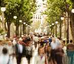 People walking on a tree-lined street.