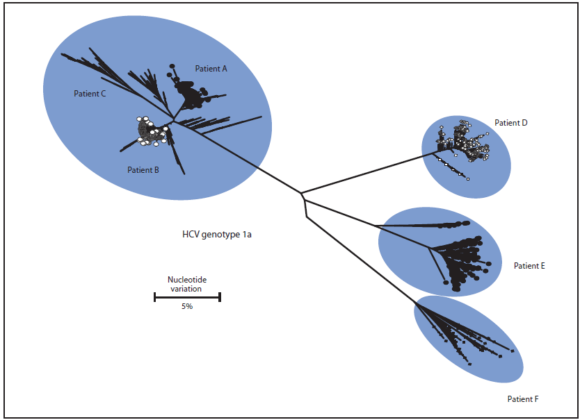 The figure is a diagram of a nucleotide variation in hepatitis C quasispecies (E1-HVR1 region, 306 base pairs in length) among six patients at a dialysis clinic in Tennessee during 2014.