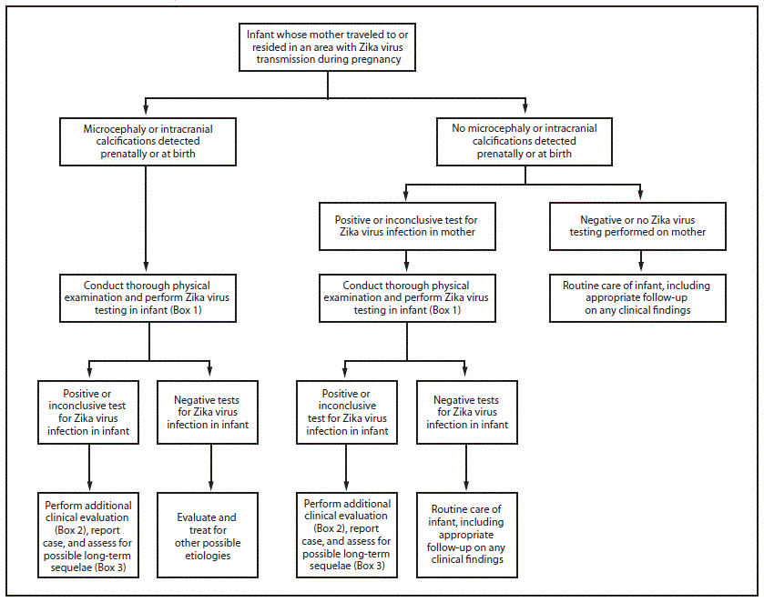 The figure above is a flowchart showing updated interim guidance for a testing algorithm for the evaluation and testing of infants whose mothers traveled to or resided in an area with ongoing Zika virus transmission during pregnancy.