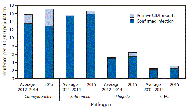 The figure above is a photograph showing several lab cultures.