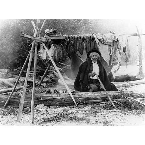 University of Washington Libraries; photograph by Norman Edson  -  Salishan man William We-ah-lup smoking salmon, Tulalip Indian Reservation, Washington, 1906  -  With the implementation of commodity government food assistance programs, Native Americans lost time-honored cultural practices and food traditions. Erosion of healthy eating and subsequent poor health resulted. However, through persistent protest and public awareness, tribes such as those of the Pacific Northwest, fought for protection of fishing rights and today teach traditional fishing, food preparation, and environmental stewardship to Indian youth.  