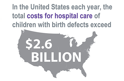 In the United States each year, the total cost for hospital care of children with birth defects exceed $2.6 billion. 