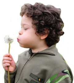 Boy blowing a dandelion