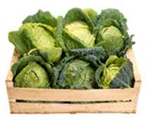 Heads of lettuce in a wooden crate.