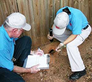 Photo of two people inspecting a rodent hole.