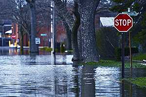 City street is covered in flood water 2-3 feet deep. 