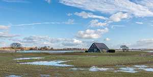 	landscape flooded