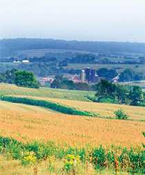 Image of farmland in Illinois