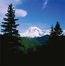 Photo of Mount Ranier