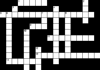 crossword puzzle