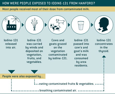 How Were People Exposed to Iodine-131 from Hanford?