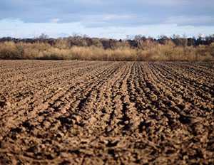 image of tilled soil