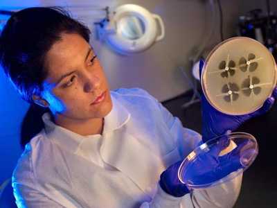 CDC microbiologist Johannetsy Avillan holding up an opened Petri dish culture plate with a distinctive clover-leaf shaped growth pattern which identifies bacteria that are resistant to carbapenems, which are considered “last resort” antibiotics.