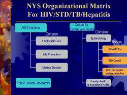 NYS Organizational Matrix For HIV/STD/TB/Hepatitis AIDS Institute - HIV Health Care - HIV Prevention - Medical Director Public Health Laboratory Center for Community Health - Epidemiology - HIV/AIDS Epi - STD Control - Com Dis Control Immunization Prg - Family Health B of Women’s Health