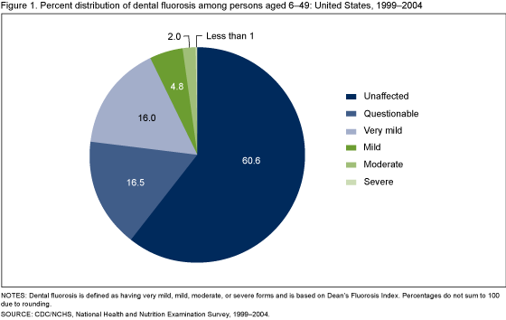 Figure 1 is a pie chart showing percent distribution of dental fluorosis by persons aged 6–49 in 1999–2004.