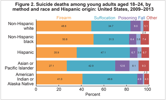 Figure 2 is a bar chart showing the age-adjusted percentage of adults aged 65 and over with low bone mass at the femur neck or lumbar spine, overall and by sex and race and Hispanic origin, for 2005 through 2010.