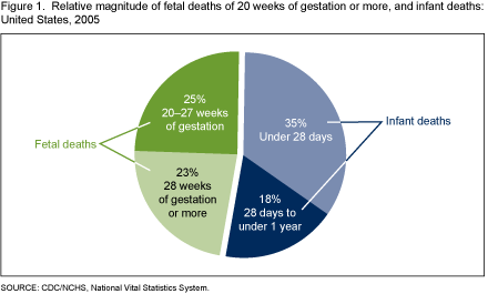 Figure 1 is a pie chart showing the relative magnitude of fetal deaths compared with infant deaths in 2005.