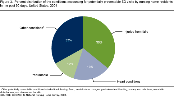 Figure 3 is a pie chart showing the conditions accounting for the potentially preventable emergency department visit in the past 90 days in 2004.