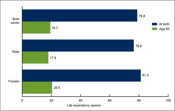 Figure 1 is a bar graph showing life expectancy at birth and at age 65 by sex in 2013.