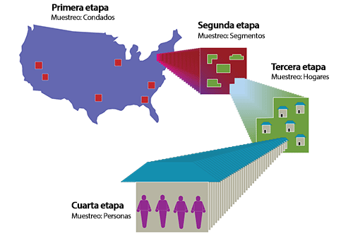 Selection Stages diagram