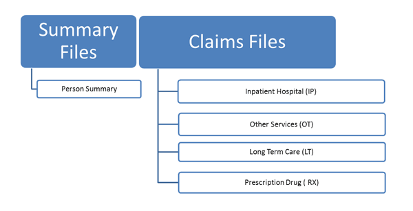 Diagram of Medicaid File Structure