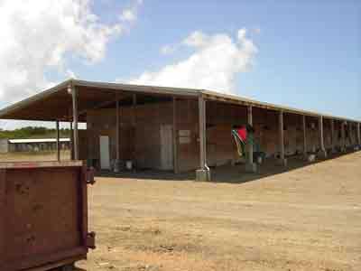 Horse barns