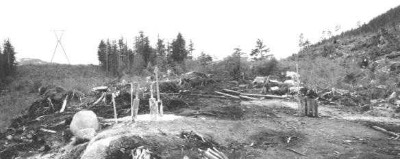 view of transmission line tower and new support tower foundation