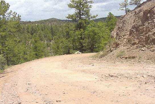 Photo 1. Incident site in national forest.