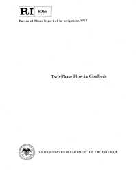 Image of publication Two-Phase Flow in Coalbeds