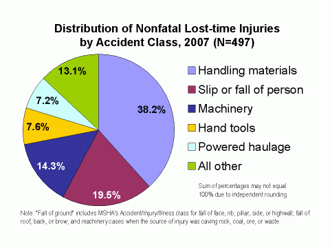 Chart of the distribution of nonfatal lost-time injuries by accident class, 2007 (see data table below)