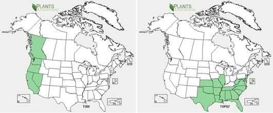 	Maps of poison oak outbreaks