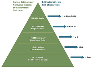 Estimates of annual number of norovirus illnesses and associated outcomes in the United States: 570-800 deaths; 56,000-71,000 hospitalizations; 400,000 emergency department visits; 1.7-1.9 million outpatient visits; and 19-21 million total illnesses. An average US resident experiences 5 episodes of norovirus illness in his or her lifetime. The average lifetime risk of norovirus-associated outpatient visit, emergency department visit, hospitalization, and death are 1 in 2, 1 in 9, 1 in 50-70, and 1 in 5,000-7,000, respectively. Ranges represent point estimates from different studies, not uncertainty bounds