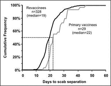 A cumulative frequency graph shows lines increase to the right.