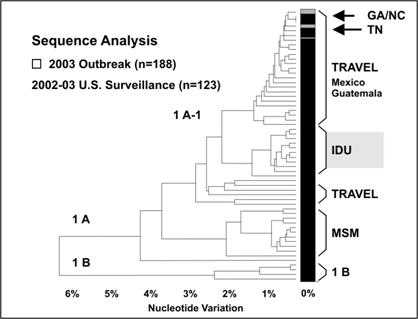 A phylogenetic tree graph shows branching relationships.