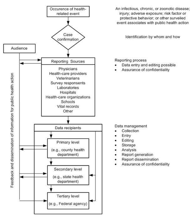 Flow chart of surveillance data shows case confirmation, reporting sources, and data recipients.