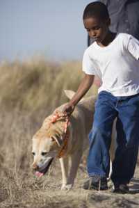 boy and dog