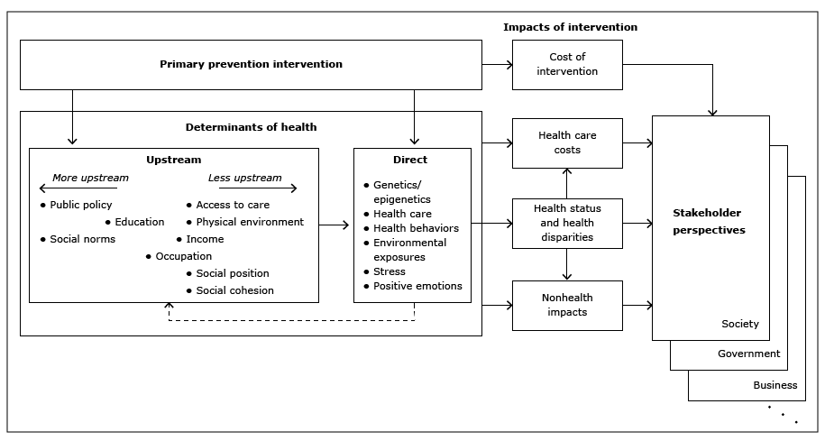 	High-level framework. A primary prevention intervention modifies health determinants to affect health, costs, and other factors. These effects are viewed differently from the perspectives of various stakeholder groups that can influence investment in the intervention.