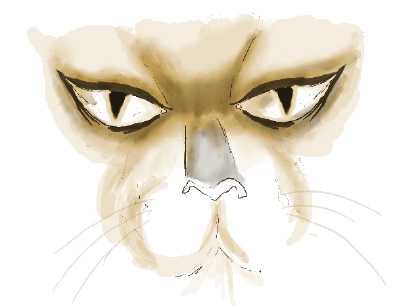 Illustration of wild cat face and eyes